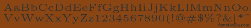 Lmroman5Regular Font – Black Fonts on Brown Background