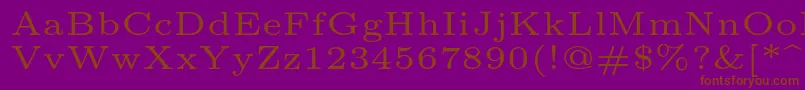 Lmroman5Regular Font – Brown Fonts on Purple Background