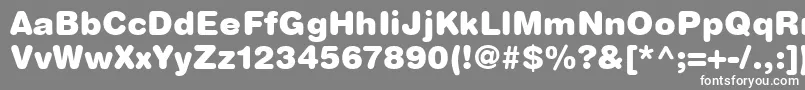 フォントHelveticaRoundedLtBlack – 灰色の背景に白い文字