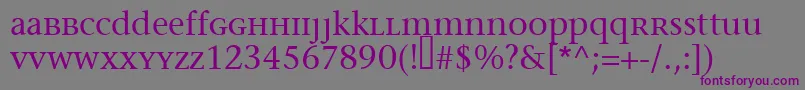Migraineserif-fontti – violetit fontit harmaalla taustalla