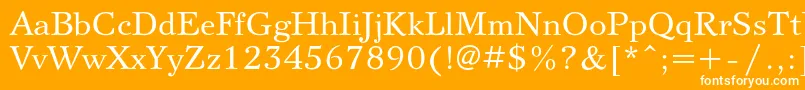 Svetlanac Font – White Fonts on Orange Background