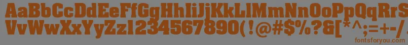 AachenStdBold Font – Brown Fonts on Gray Background