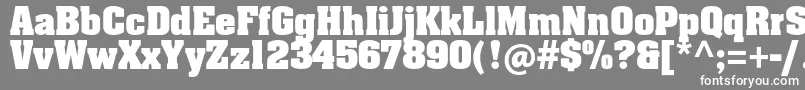 AachenStdBold Font – White Fonts on Gray Background