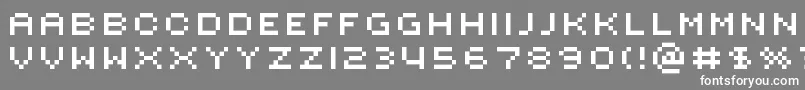 Rotore Font – White Fonts on Gray Background