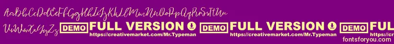 Vingiloth Font – Yellow Fonts on Purple Background