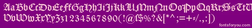 Dscaslongotisch Font – Pink Fonts on Purple Background