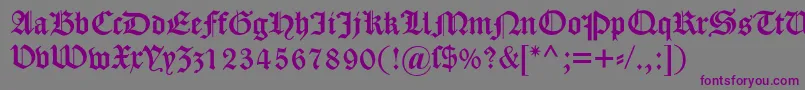 フォントDscaslongotisch – 紫色のフォント、灰色の背景