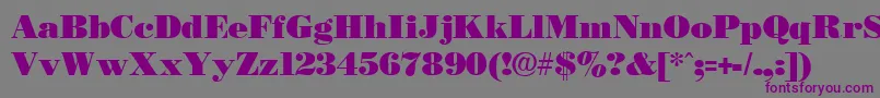Necblack-fontti – violetit fontit harmaalla taustalla
