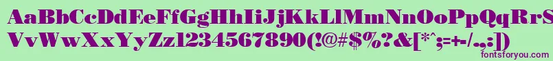 Necblack Font – Purple Fonts on Green Background