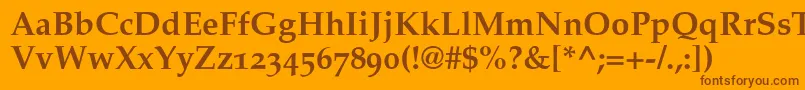 PalatinoBoldOldStyleFigures Font – Brown Fonts on Orange Background