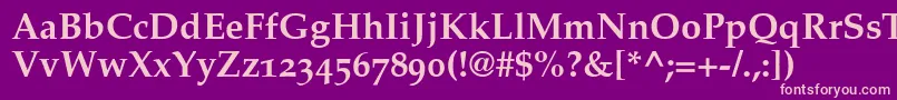 PalatinoBoldOldStyleFigures Font – Pink Fonts on Purple Background