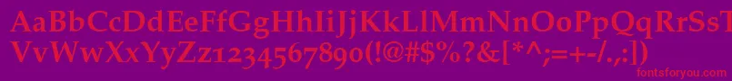 PalatinoBoldOldStyleFigures Font – Red Fonts on Purple Background