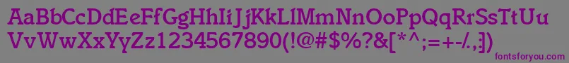 Ensemblemediumssk Font – Purple Fonts on Gray Background