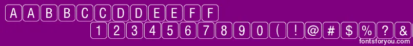 RrkeyletterslimitedNormal Font – White Fonts on Purple Background