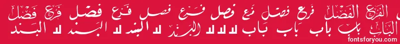 McsBookTitle1 Font – White Fonts on Red Background