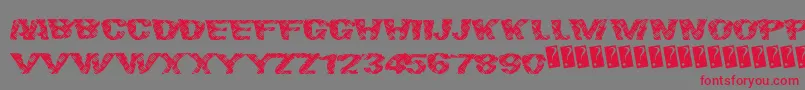 Finalslash Font – Red Fonts on Gray Background