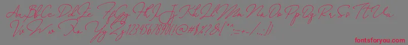 AnnisaSlant Font – Red Fonts on Gray Background