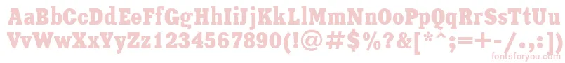 Xeniacondensed Font – Pink Fonts on White Background