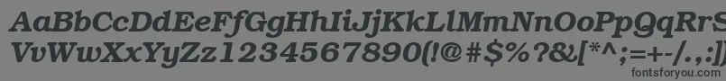 ItcBookmanLtDemiItalic Font – Black Fonts on Gray Background