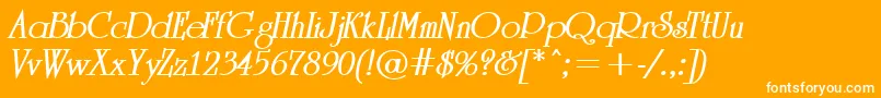 ARomanusBolditalic Font – White Fonts on Orange Background