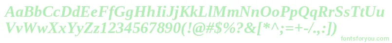 TinosBoldItalic Font – Green Fonts