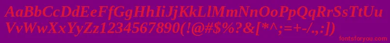 TinosBoldItalic Font – Red Fonts on Purple Background