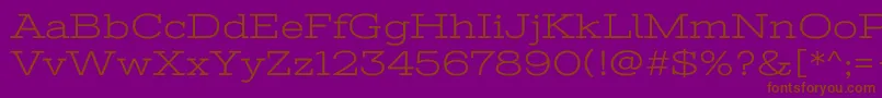 StintultraexpandedRegular Font – Brown Fonts on Purple Background