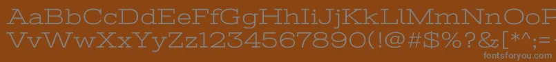 StintultraexpandedRegular Font – Gray Fonts on Brown Background
