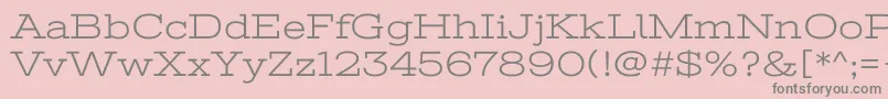 StintultraexpandedRegular Font – Gray Fonts on Pink Background