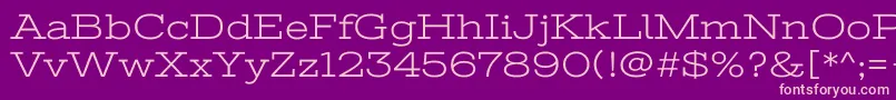 StintultraexpandedRegular Font – Pink Fonts on Purple Background