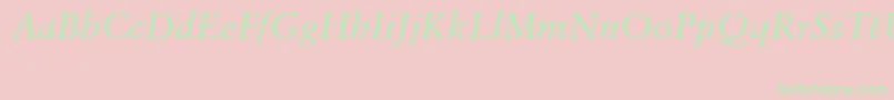 SabonCeItalic Font – Green Fonts on Pink Background