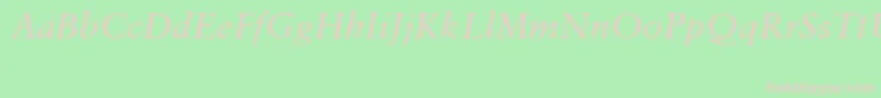 SabonCeItalic Font – Pink Fonts on Green Background