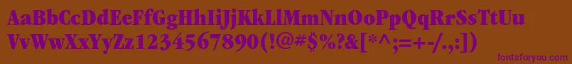 ItcgaramondstdUltnarrow Font – Purple Fonts on Brown Background