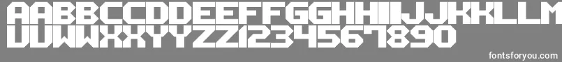 M12 Font – White Fonts on Gray Background