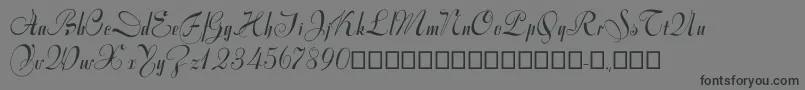 Varianteinitials Font – Black Fonts on Gray Background