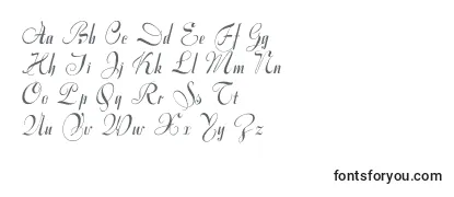 Varianteinitials Font