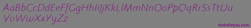 Fabersanspro46reduced Font – Purple Fonts on Gray Background