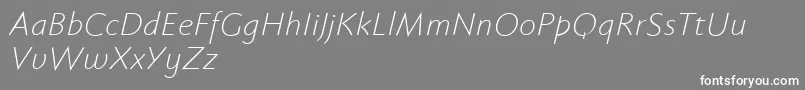 Fabersanspro46reduced Font – White Fonts on Gray Background