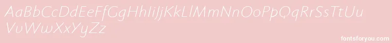 Fabersanspro46reduced-Schriftart – Weiße Schriften auf rosa Hintergrund