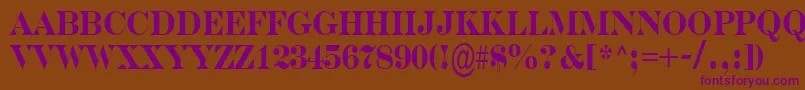 ASerifernrBold Font – Purple Fonts on Brown Background