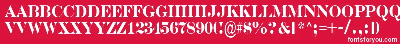 フォントASerifernrBold – 赤い背景に白い文字