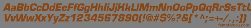 EurofontcBolditalic Font – Brown Fonts on Gray Background