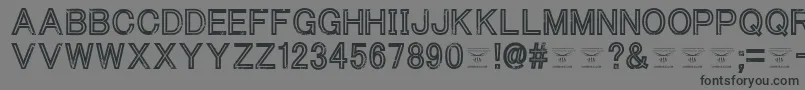 ThacoolkidzRegular Font – Black Fonts on Gray Background