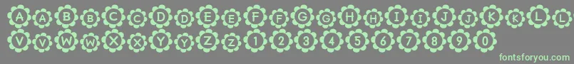 Pu Font – Green Fonts on Gray Background