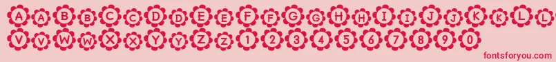 Pu Font – Red Fonts on Pink Background