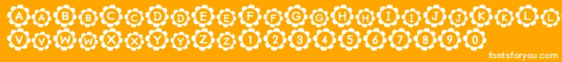 Pu-Schriftart – Weiße Schriften auf orangefarbenem Hintergrund
