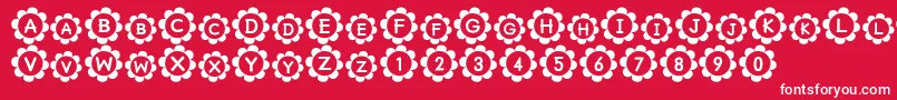 Pu Font – White Fonts on Red Background