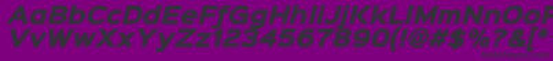 Czcionka Sinkinsans800blackitalic – czarne czcionki na fioletowym tle