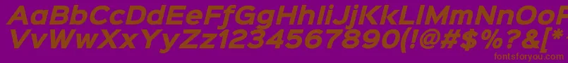 More about Sinkinsans800blackitalic Font Sinkinsans800blackitalic Font – Brown Fonts on Purple Background