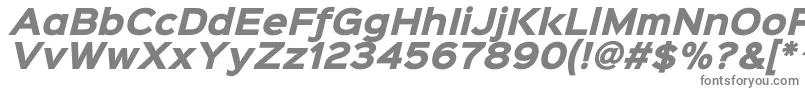 Sinkinsans800blackitalic-fontti – harmaat fontit